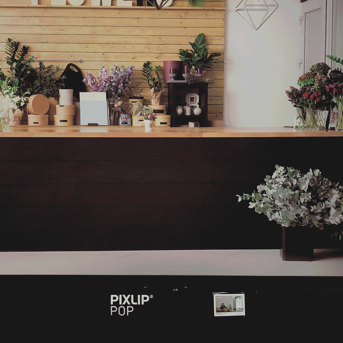 POP LIGHTBOX-configurator