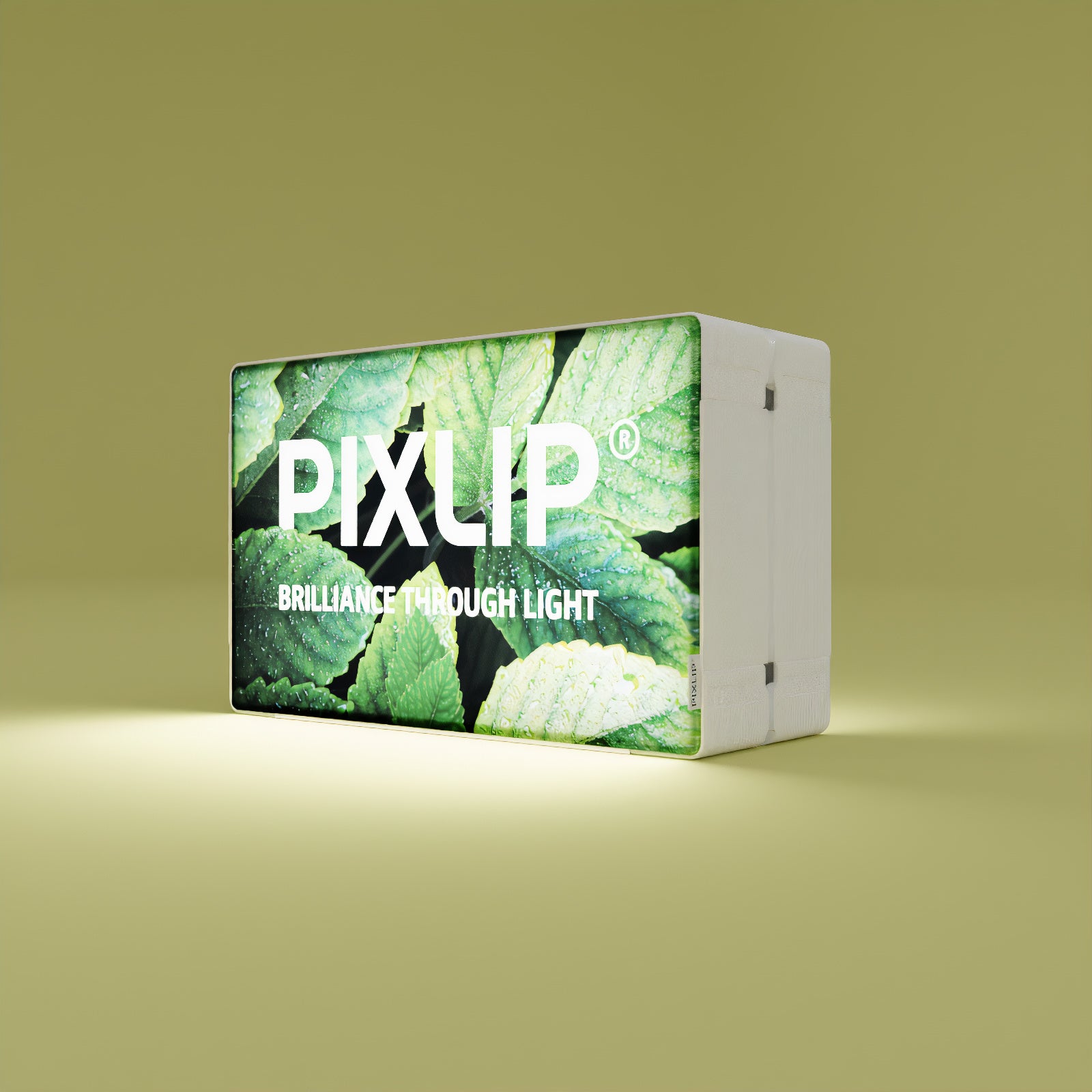 GO PATROON PRINT LIGHT SUB 40×25